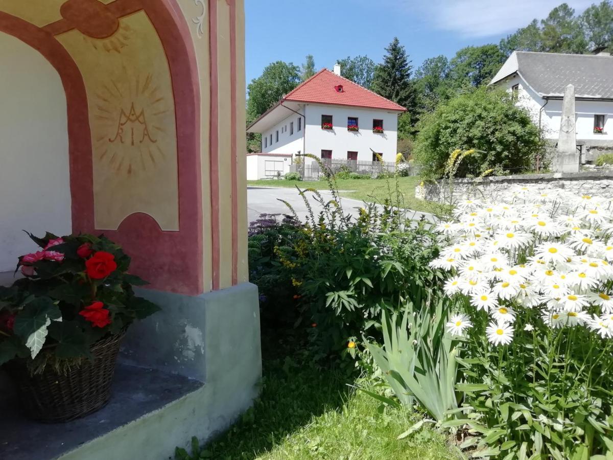 Ubytovani Praschlhaus Horní Planá 外观 照片