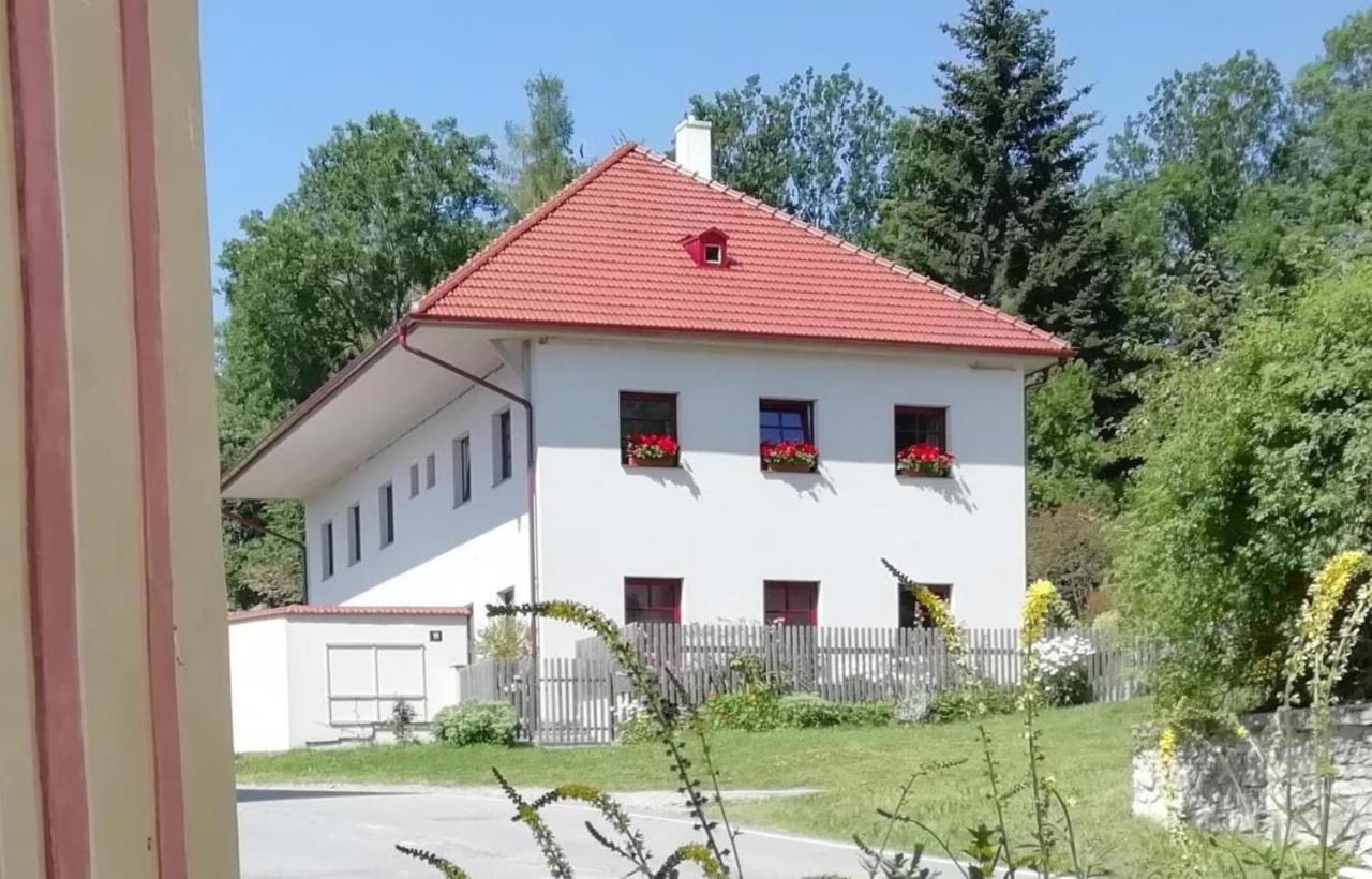 Ubytovani Praschlhaus Horní Planá 外观 照片