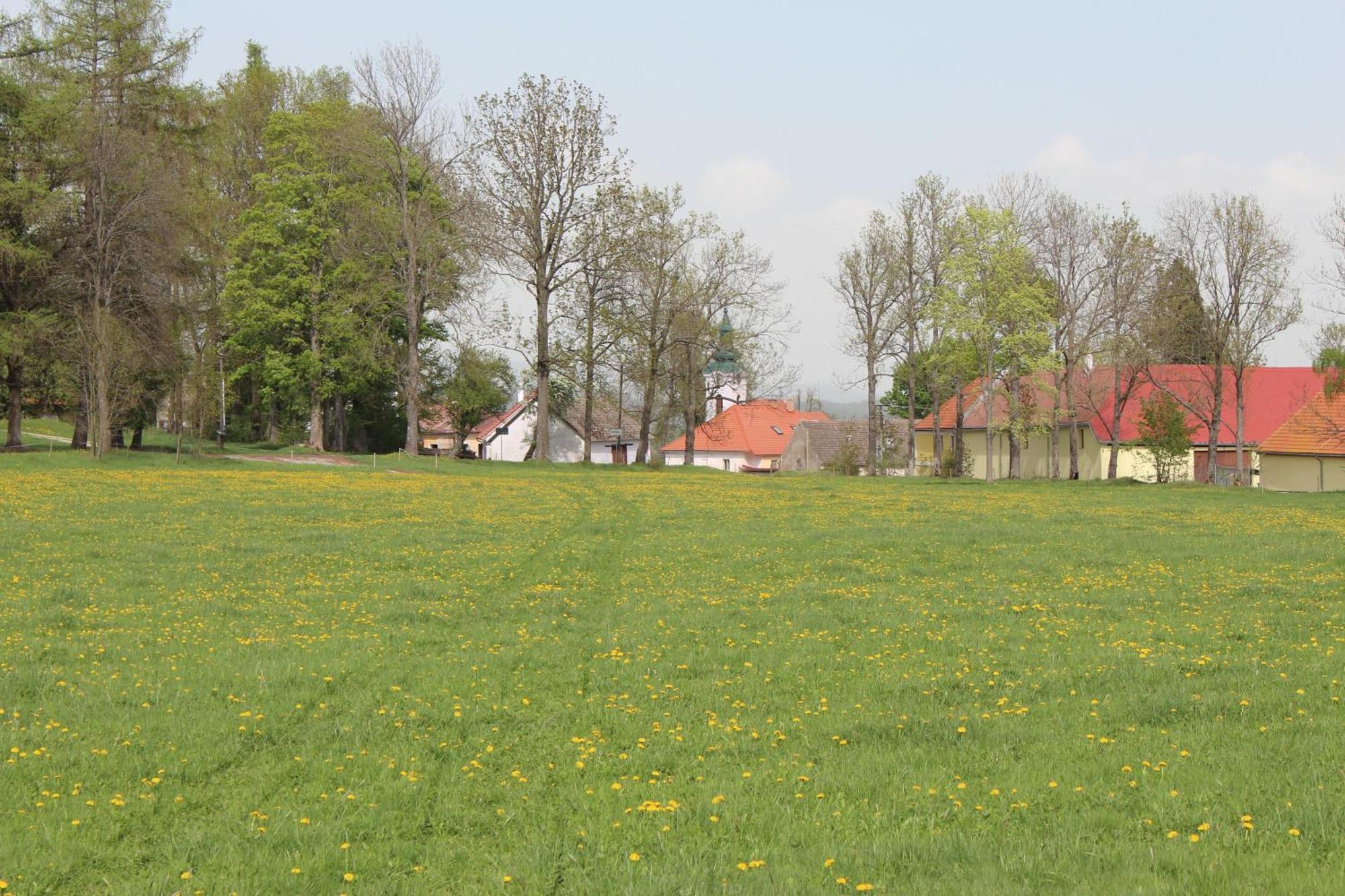 Ubytovani Praschlhaus Horní Planá 外观 照片