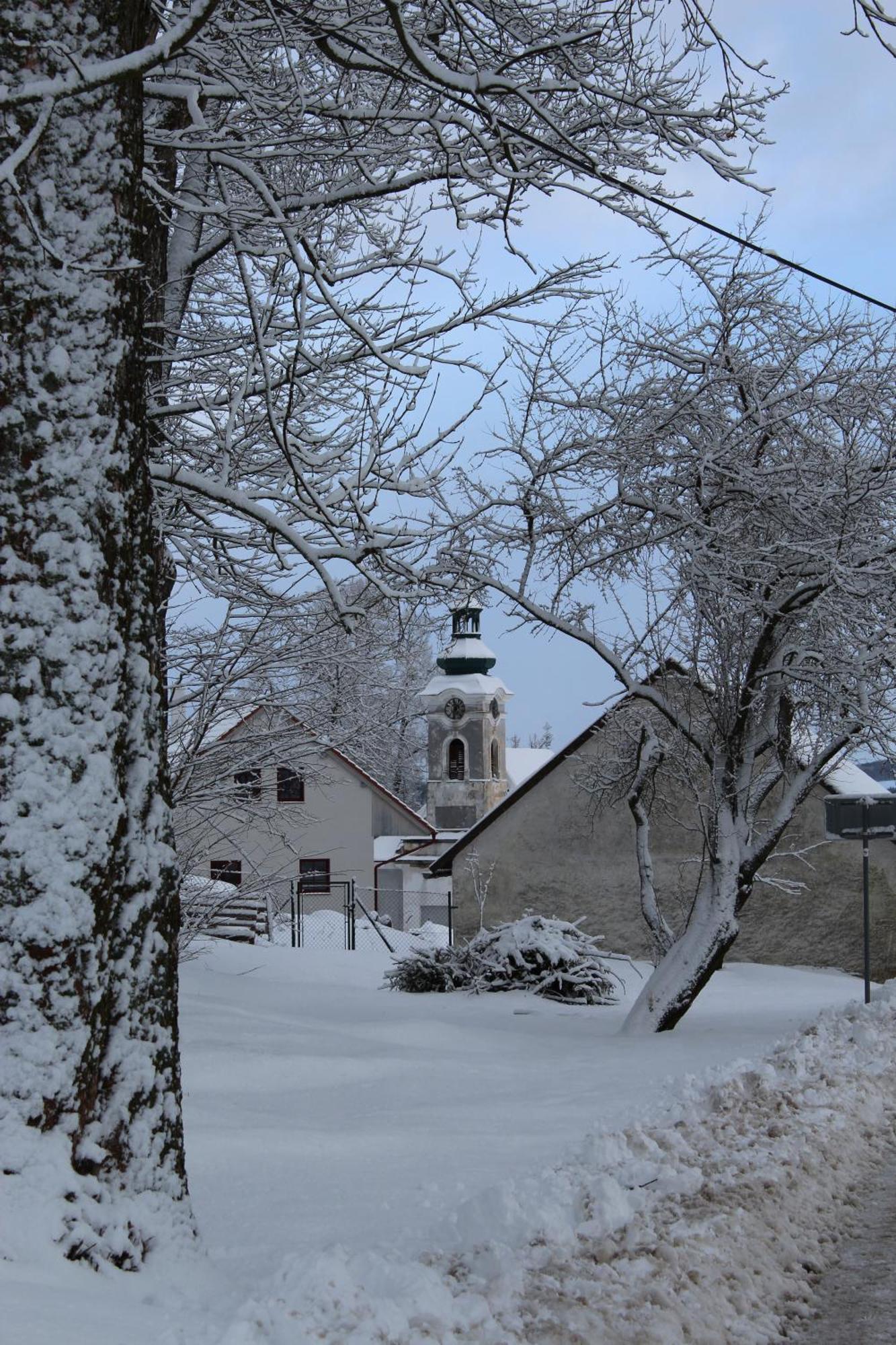 Ubytovani Praschlhaus Horní Planá 外观 照片