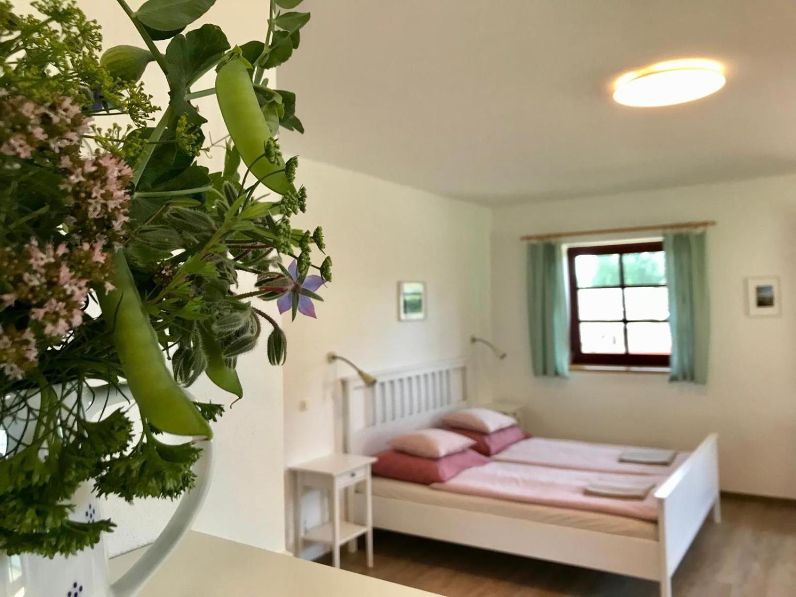 Ubytovani Praschlhaus Horní Planá 外观 照片