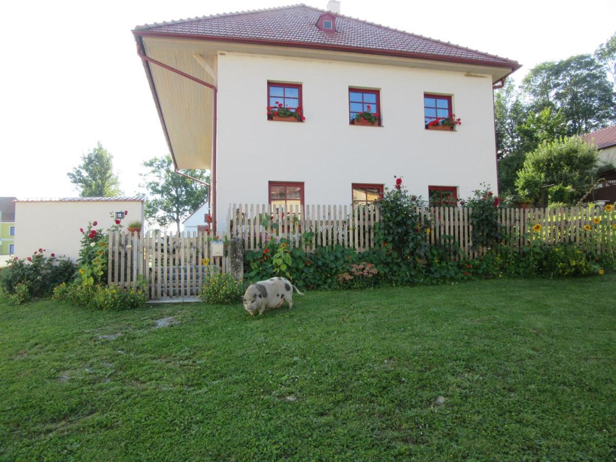 Ubytovani Praschlhaus Horní Planá 外观 照片